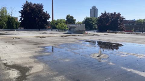 Nearly Emptied - IMG_3023.jpeg