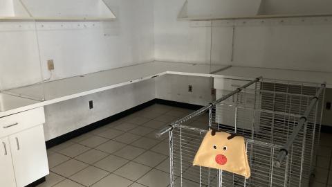 Nearly Emptied - IMG_2991.jpeg