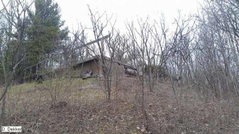 Photo from March 24, 2012