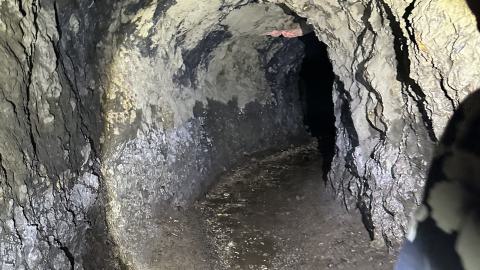 Silver & Gold - IMG_1311.jpeg