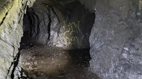 Silver & Gold - IMG_1312.jpeg