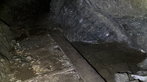 Silver & Gold - IMG_1315.jpeg