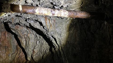 Silver & Gold - IMG_1317.jpeg