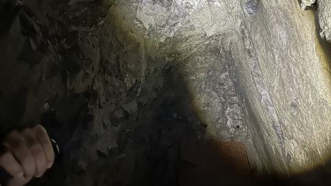 Silver & Gold - IMG_1320.jpeg