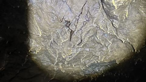 Silver & Gold - IMG_1322.jpeg