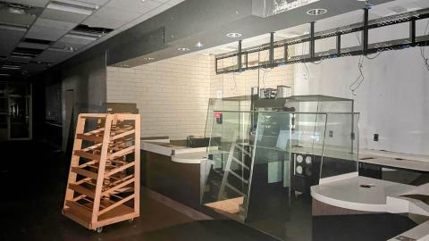 Wendy Horton's photo 4