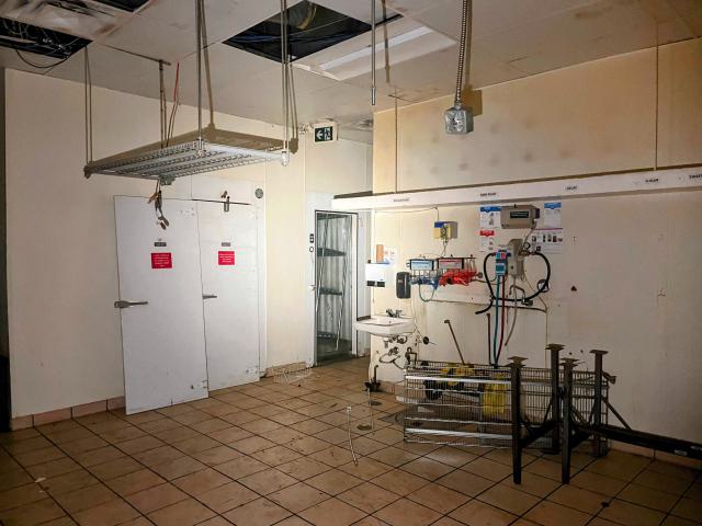 Wendy Horton's photo 5