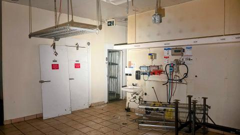 Wendy Horton's photo 5