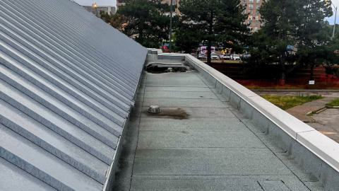 Wendy-Horton's - IMG_4453.jpg