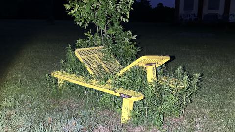 POWow - IMG_2248.jpeg