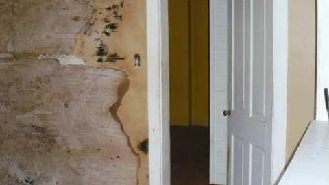 Paisley - Paisley-House31.jpg