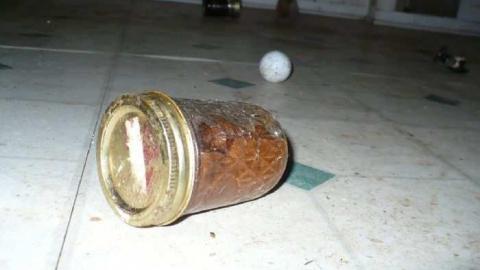 Paisley House photo 2