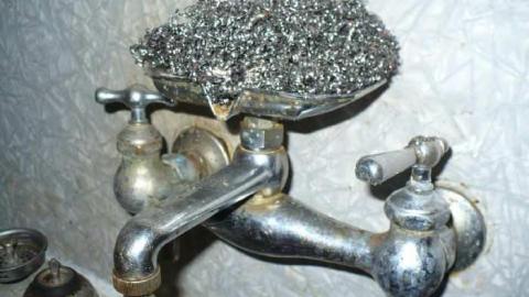 Paisley House photo 5