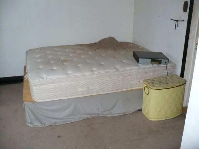 Paisley House photo 4