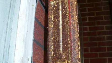 Paisley - Paisley-House45.jpg