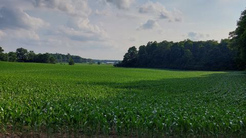 Drain Tunnel Box - 20240621_183645.jpg