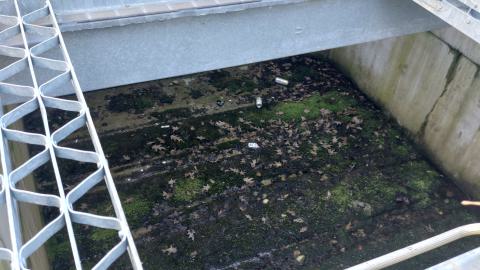 Drain Tunnel Box - 20240621_190455.jpg