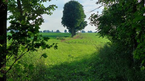 Drain Tunnel Box photo 3