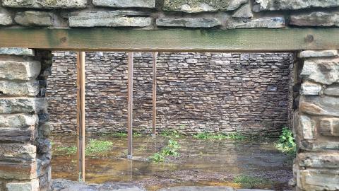 Restored - 20240716_152011.jpg