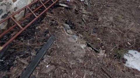 Some more pictures - 20240225_172034 - frame at 4m9s.jpg