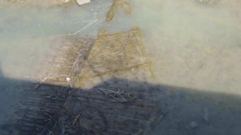 Photo from Thorold area canal