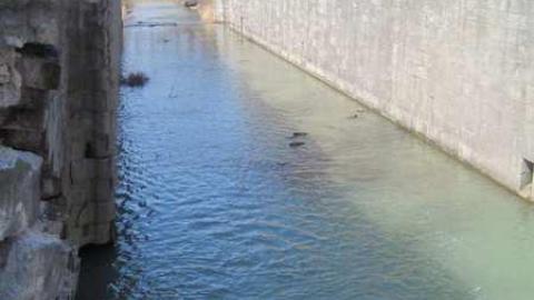 Photo from Thorold area canal