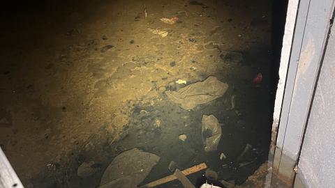 Going for Broke - IMG_3844.jpg