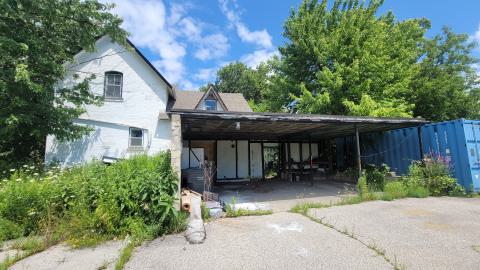 Beautiful - 20240718_134953.jpg