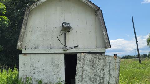 Beautiful - 20240718_135023.jpg