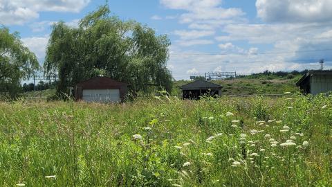 Beautiful - 20240718_135033.jpg