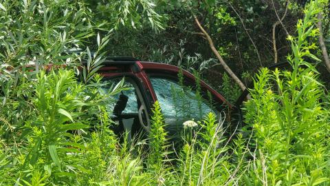 Beautiful - 20240718_135127.jpg