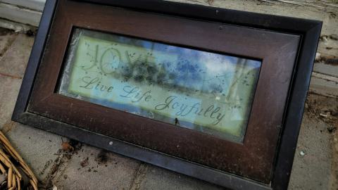 Beautiful - 20240718_135323.jpg