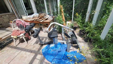 Beautiful - 20240718_135342.jpg