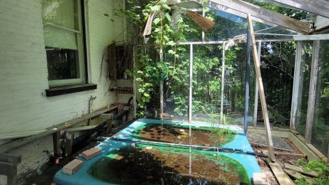 Photo from Beautiful