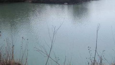 Photo from Thorold area canal