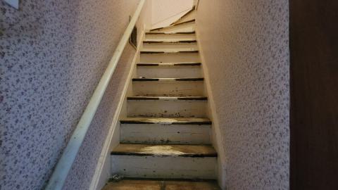 Beautiful - 20240718_140815.jpg