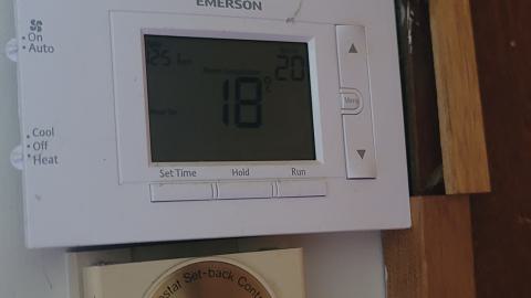 Beautiful - 20240718_140827.jpg