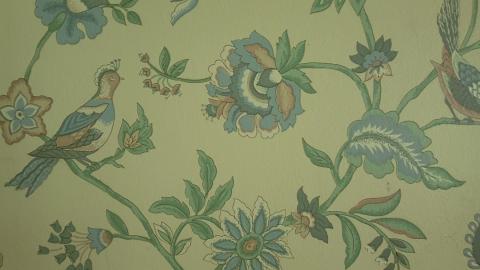 Beautiful - 20240718_141338.jpg