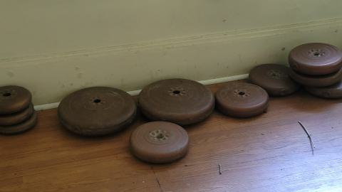 Beautiful - 20240718_141934.jpg