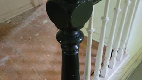 Beautiful - 20240718_142329.jpg