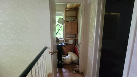 Beautiful - 20240718_142337.jpg