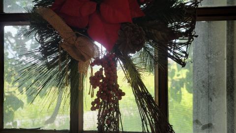 Beautiful - 20240718_143347.jpg