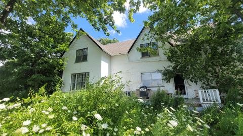 Beautiful - 20240718_143506.jpg