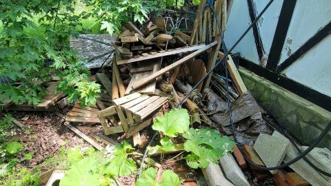 Beautiful - 20240718_143751.jpg