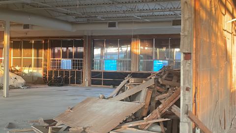 Gutted - IMG_2550.jpeg