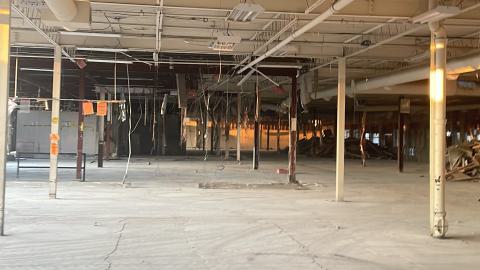 Gutted - IMG_2553.jpeg