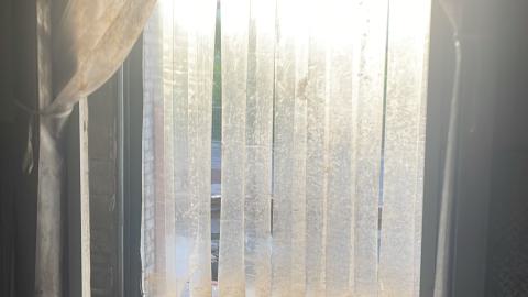 Gutted - IMG_2559.jpeg