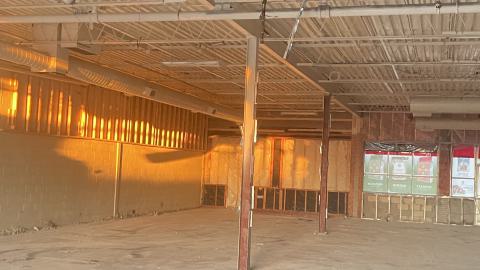 Gutted - IMG_2567.jpeg