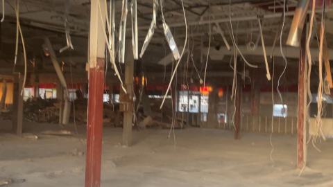 Gutted - IMG_2608.jpeg