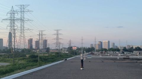 Gutted - IMG_2609.jpeg